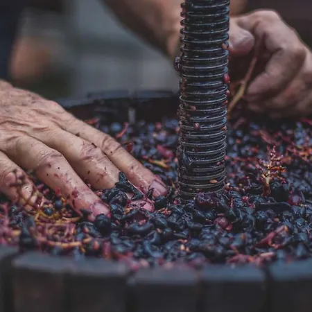 Og Chateau De Pizay 호텔 4*